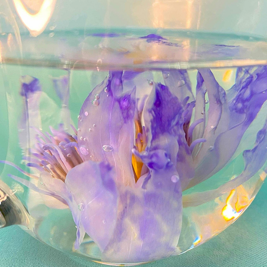 Fragrant Lotus Flower Tea